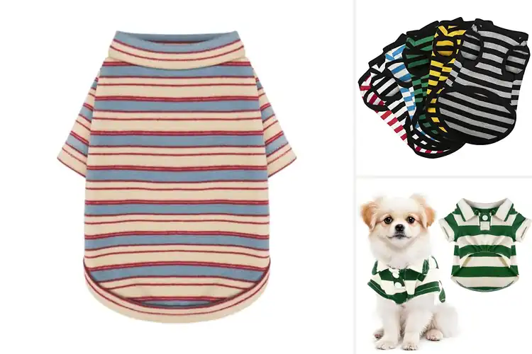 Detailed view of Best Striped Dog Shirts