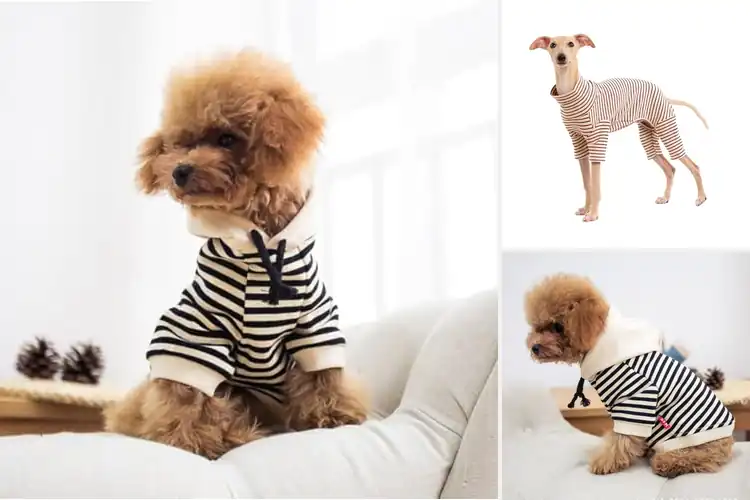 Detailed view of Best Striped Dog Sweatshirt