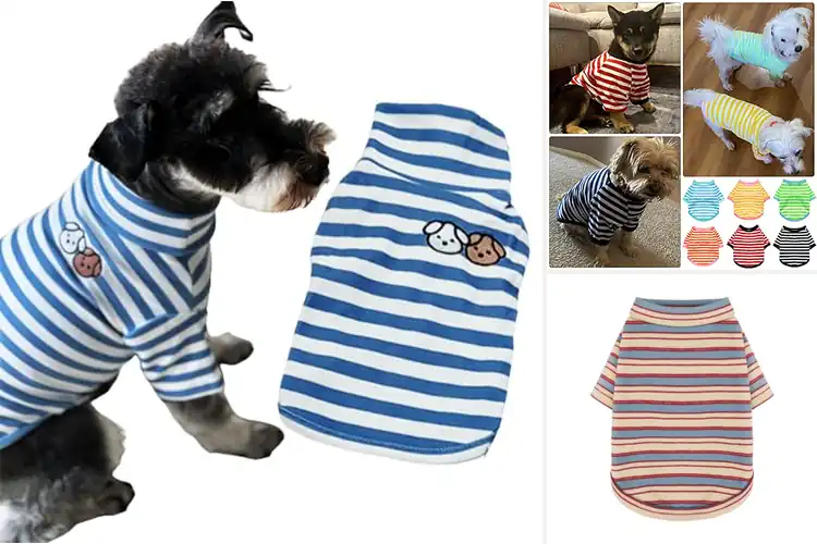 Detailed view of Best Striped Dog Sweatshirts