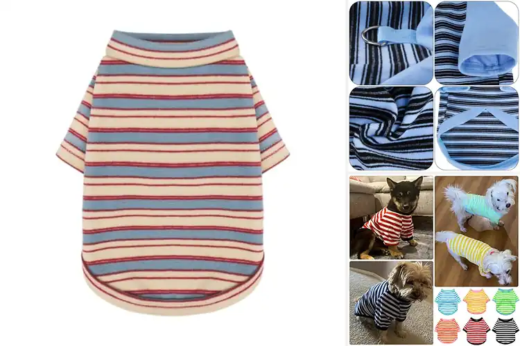 Detailed view of Best Striped Pattern Dog Tshirts