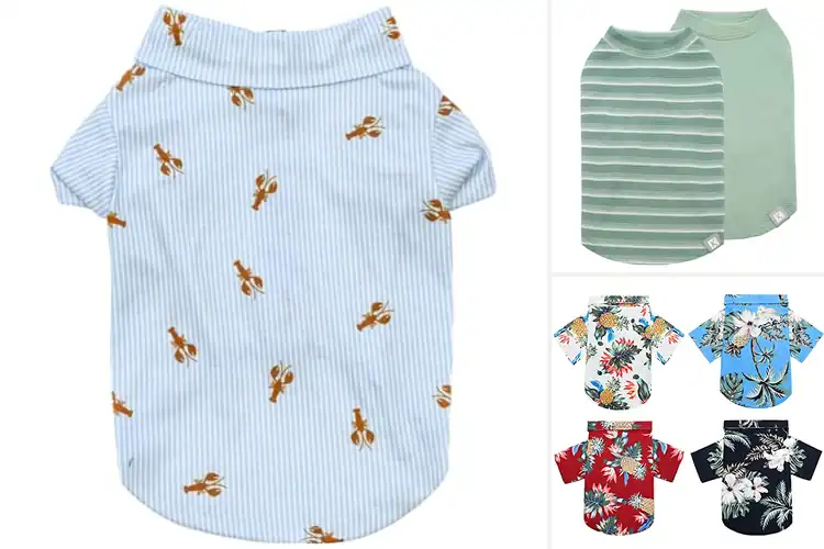 Detailed view of Best Summer Dog Clothes