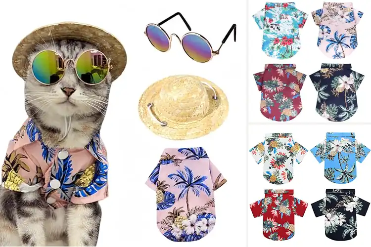 Detailed view of Best Summer Pet Clothes: 10 Cool & Stylish Outfits for Pets