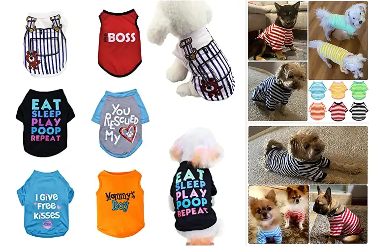 Detailed view of Best Sweat Absorbing Dog Clothes