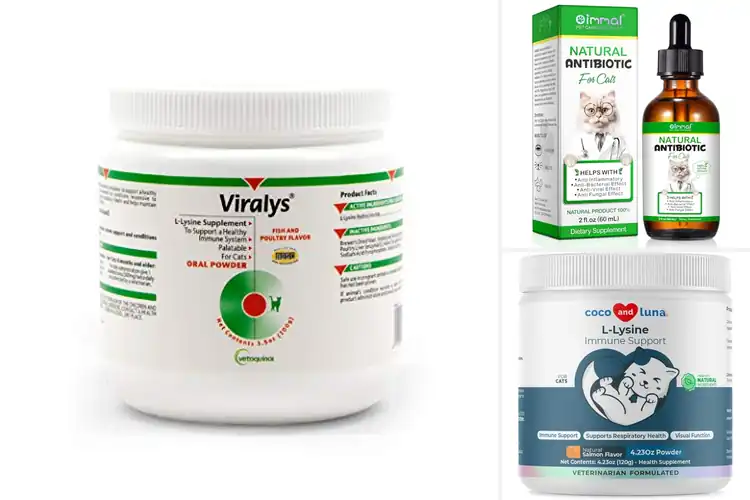 Detailed view of Best Viral Infection Supplements for Cats
